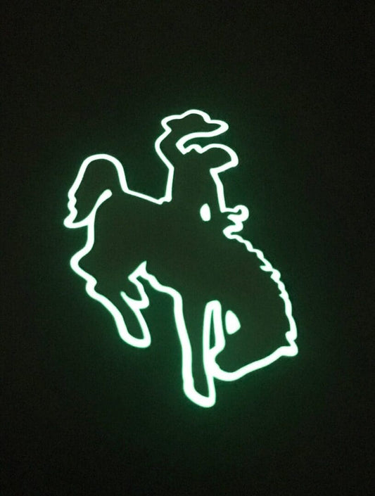Wyoming Cowboy