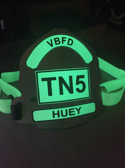 Instructor Shield
