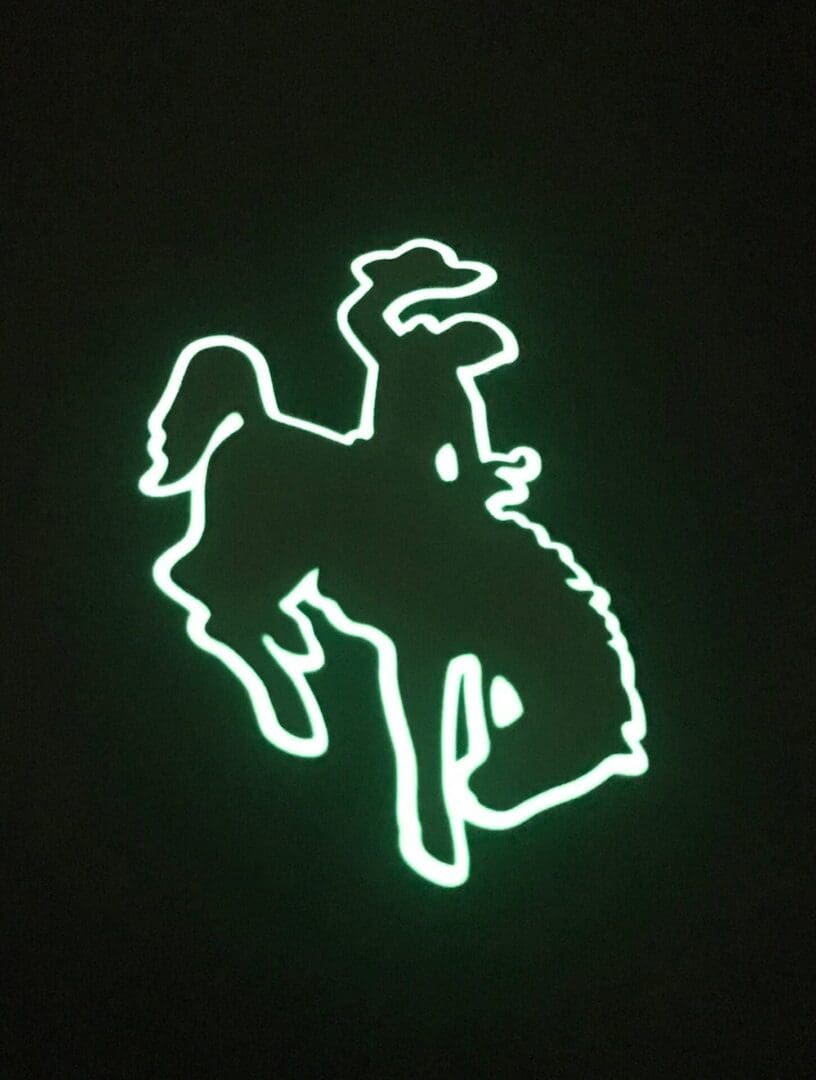 Wyoming Cowboy