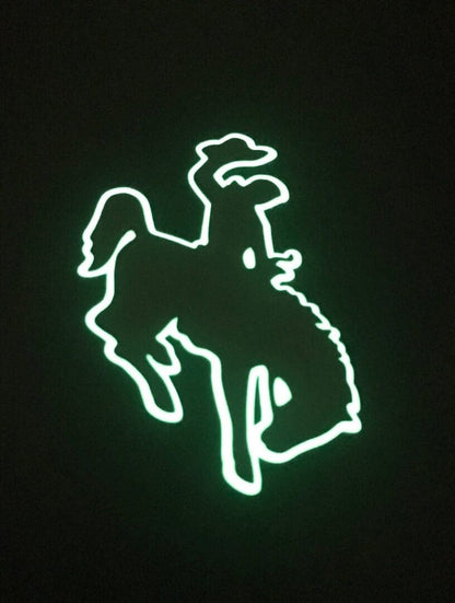 Wyoming Cowboy