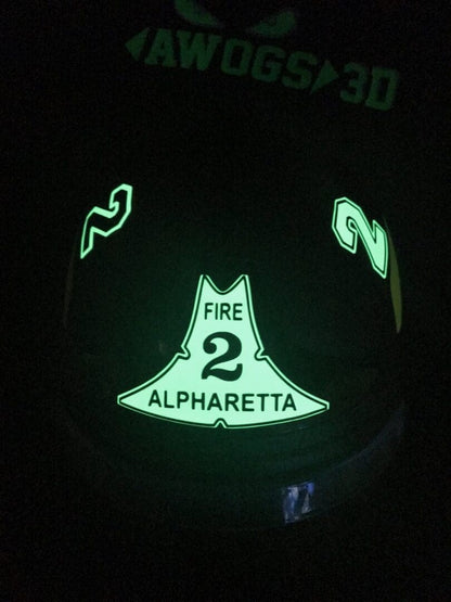 Shield Decal CAIRNS XF1