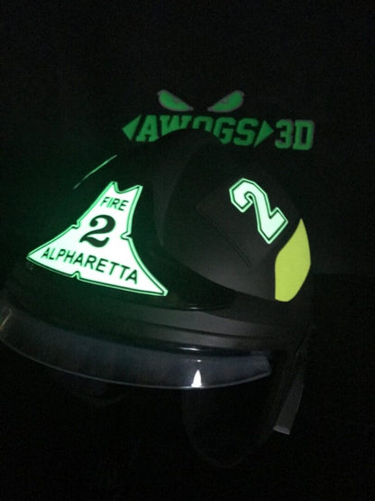 Shield Decal CAIRNS XF1