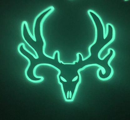 Mule Deer Skull