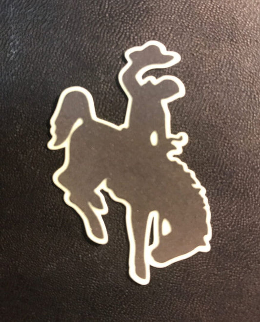 Wyoming Cowboy