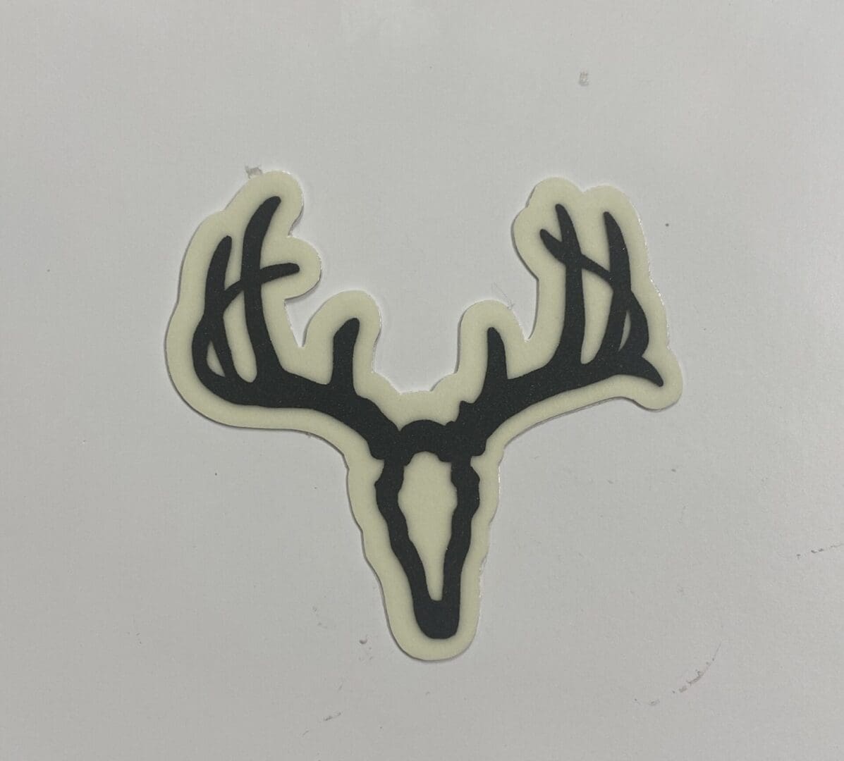 Whitetail Skull
