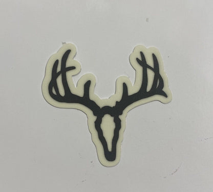 Whitetail Skull
