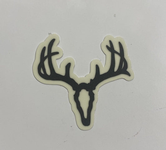 Whitetail Skull