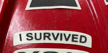 I Survived