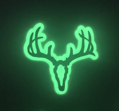 Whitetail Skull