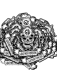 detail_363_IMG_1714.PNG